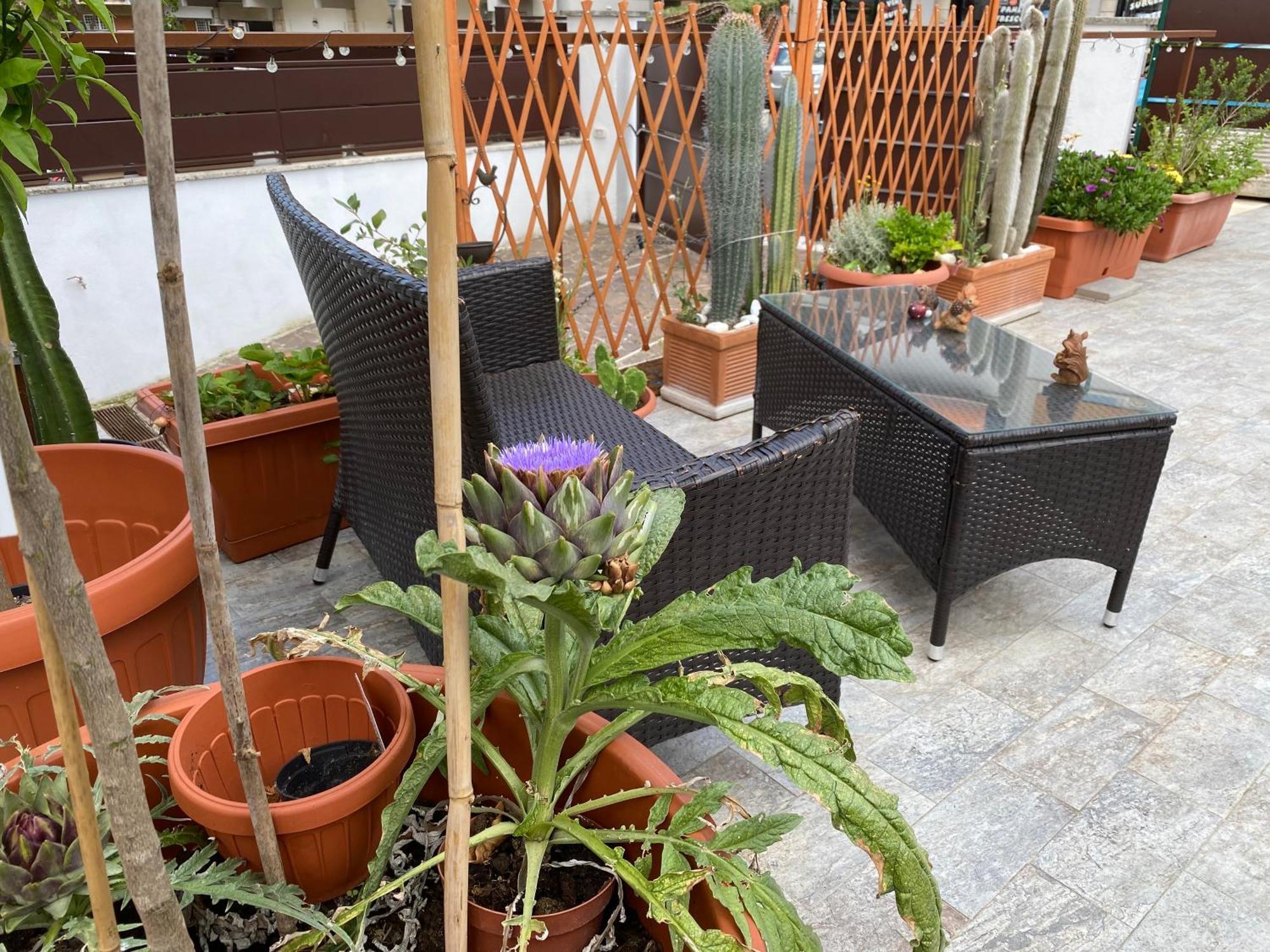 Officinale Rome Apartment, Pineta Sacchetti Eksteriør bilde